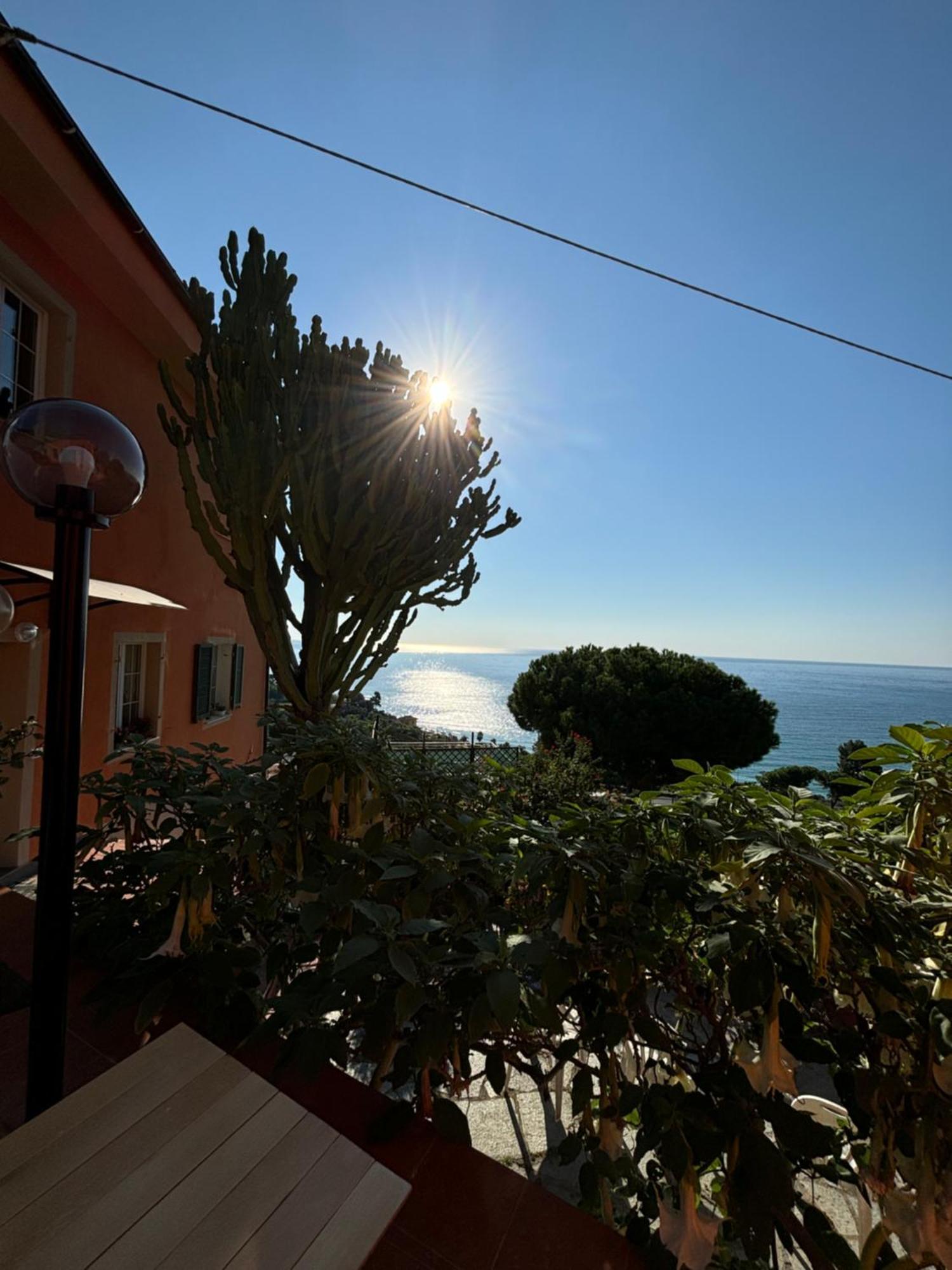 Il Giardino Del Mare Lägenhet Ventimiglia Exteriör bild