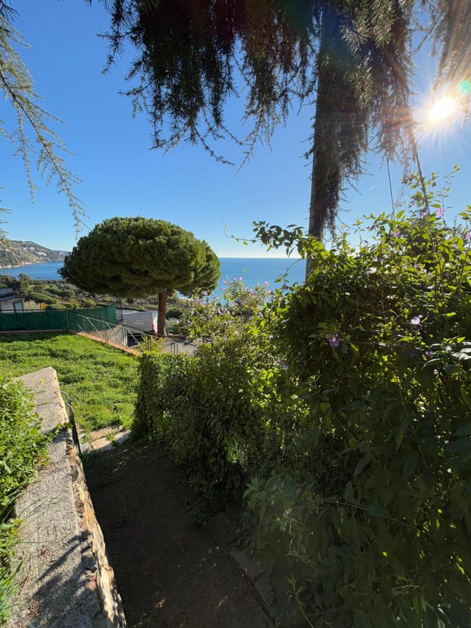 Il Giardino Del Mare Lägenhet Ventimiglia Exteriör bild